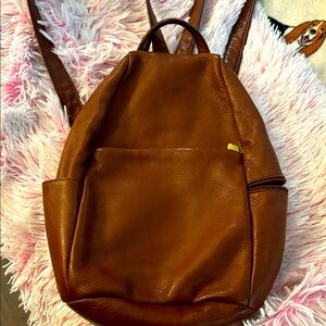 Brown Leather Back Pack-ish Purse